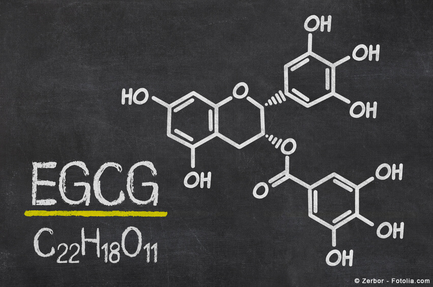 Matcha Superfood EGCG