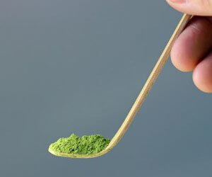 Chashaku matcha löffel